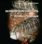 Книга.Беломорский коктейль. Автор Андрей Кашин  